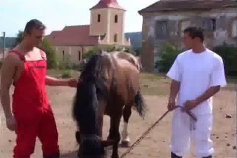 The StableTwink