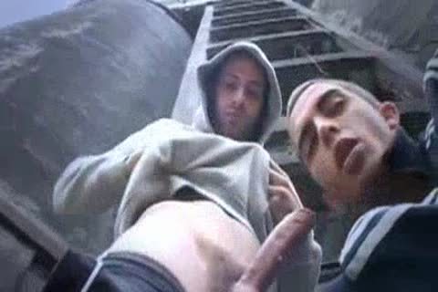 Fit Scally Chav boyz Outdoor trio