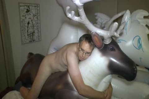 My Roomie At EF Did Borrow Me His Squeaky Reindder For Some joy. I Love The Shape And Size, it is Such A admirable Ride.