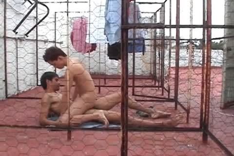 twink Rooftop bareback