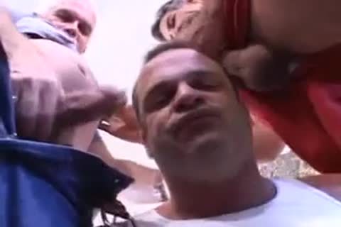 Three delightsome daddy nubiles bang