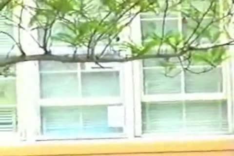 MONSTER knob For White teen