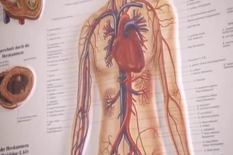 bare Medics 1 - Parte 02