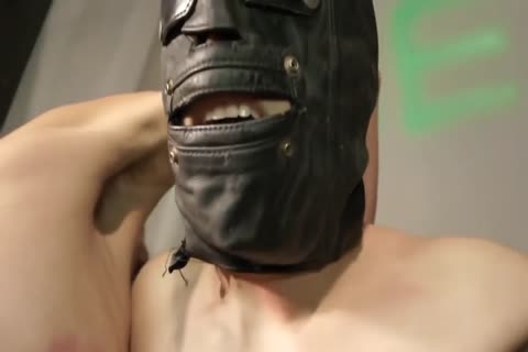 Gay goes for BDSM HD