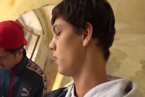 Venyveras 11