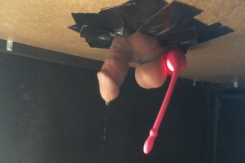 Hands-free Lush Teasing On webcam