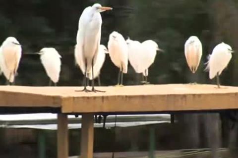 booty bang! This Happens When best friends Say They Go Fishing