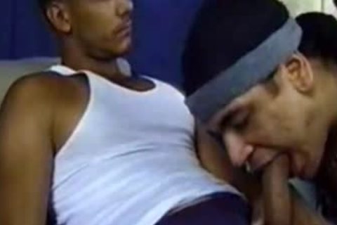 Latinos 1