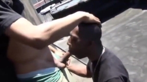 Thugs On A Rooftop