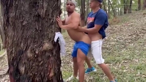 Morboso dril In The Park