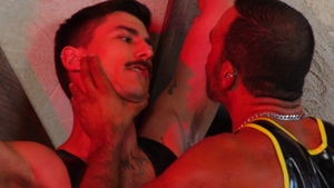 Pig Sex with Rubber Sir