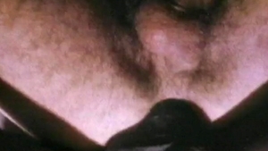 Falcon Studios: Steady Customer Indeed!