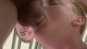 Falcon Icons: The 1990's: Wet and Wild Workers