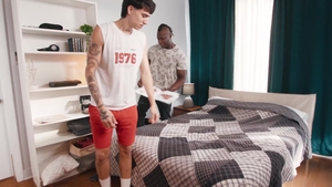 Jerk Buddies: Guest Bedroom, Unexpected Delights