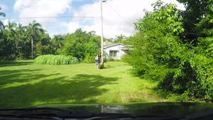 Family Dick: Tatt'd Stepfather's Wild Ride