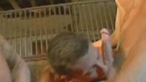 Boyz Party: Tales of a DJ's Journey in Sound