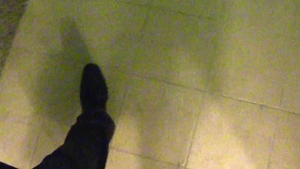 Debt Dandy: Swept into Sin: The Model's Downfall