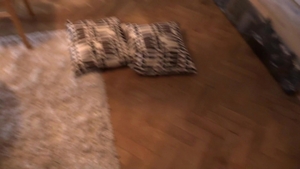Debt Dandy: Furnishing Money Vanishes in the Night