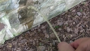 Czech Hunter: A Hiker Stumbles Upon A Hidden Fling