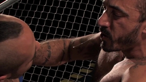 Fetish Force: Alpha Battle: Latin Studs Unleashed